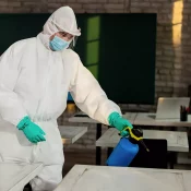 desinsectisation-paris