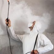 fumigation-vapeur pour dératisation paris