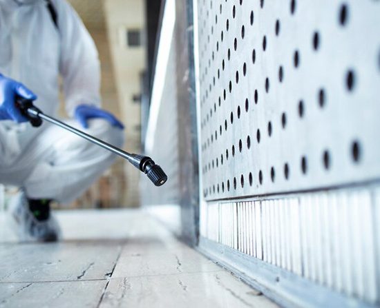 Le traitement par le froid pour éradiquer les punaises de lit par Kaptain Nuisibles