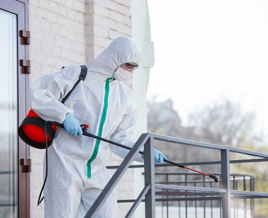 Le traitement thermique contre les punaises de lit par Kaptain Nuisibles